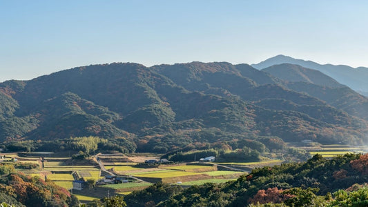 供TOMO 日本 山村 応援 キャンペーン 寄付