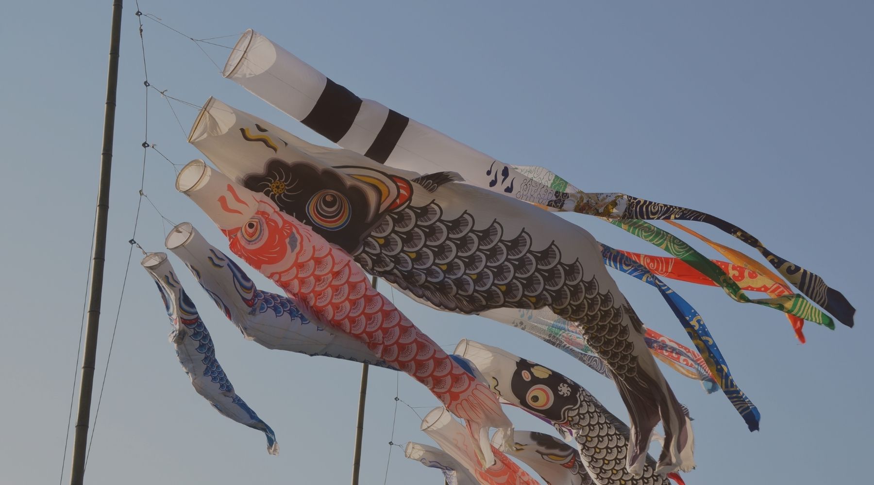 端午の節句 いつ 供TOMOブログ