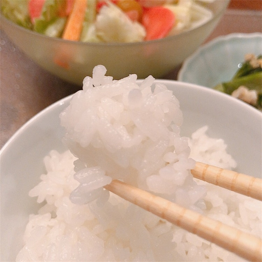 供TOMO御神米イセヒカリレビュー 縁起物