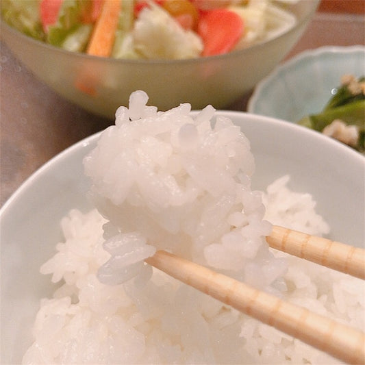 供TOMO御神米イセヒカリレビュー 縁起物