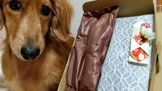 供TOMO 七福神和三盆 レビュー お供え物