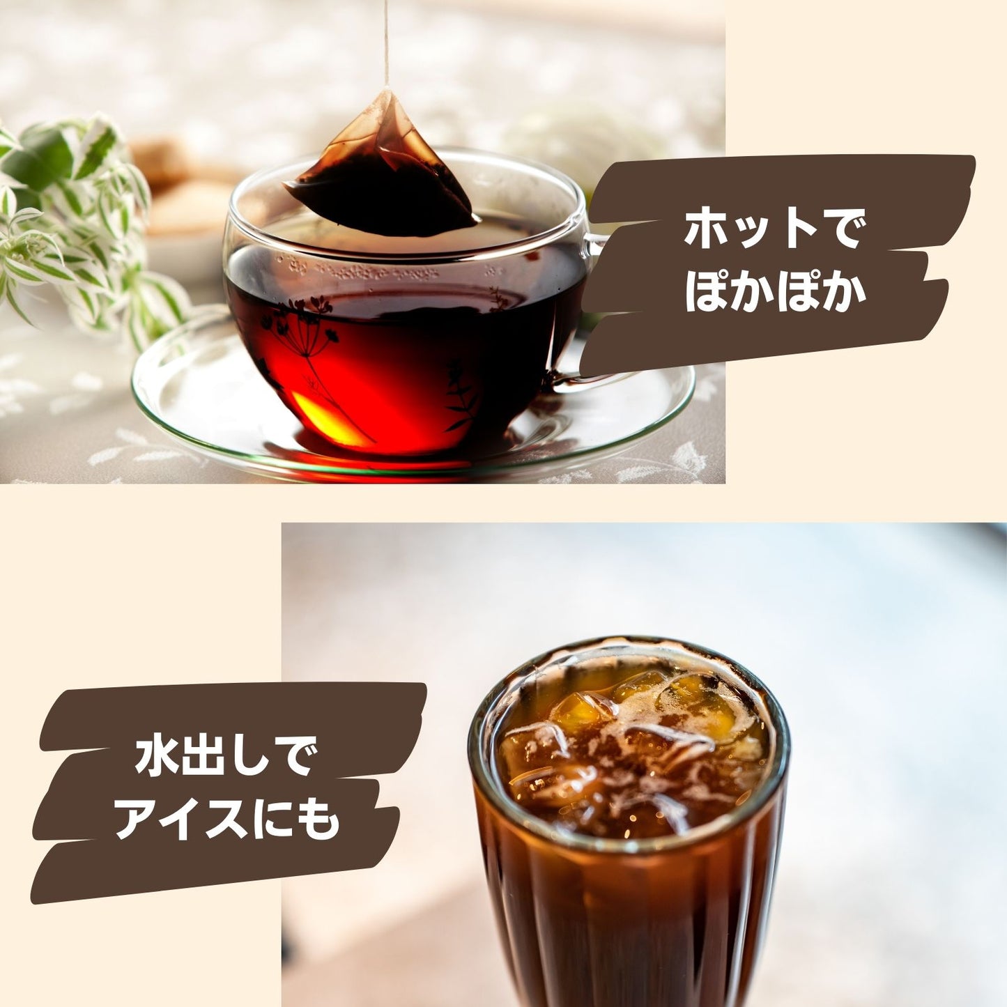 珈琲(カフェ)玄神(テトラバッグ12包入)
