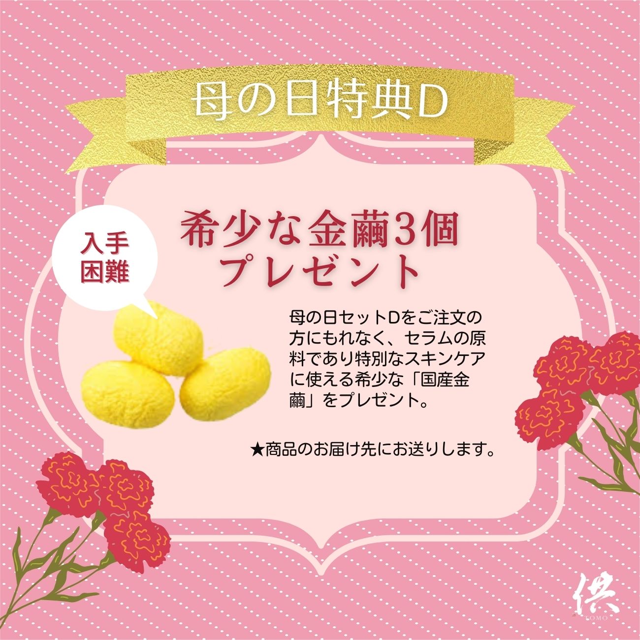 【国内送料無料】ココンドーレ・セラム2本セット