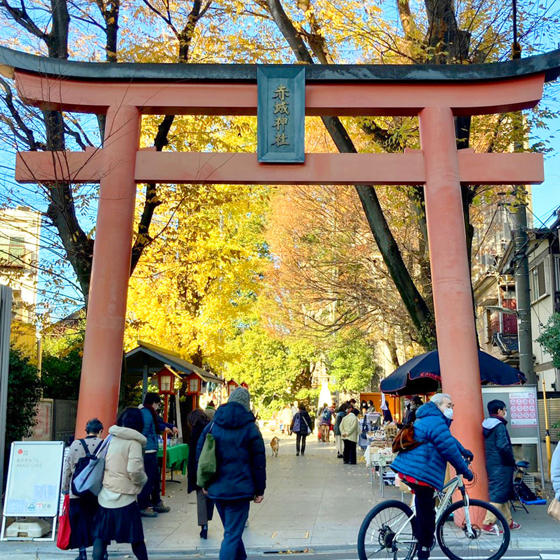 供TOMOブログ・「日本一おしゃれな神社」赤城神社のあかぎマルシェにて